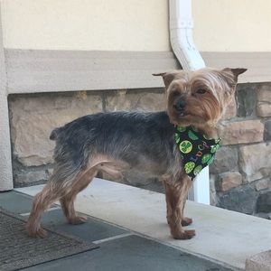 Meet your Posher, Julita